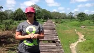 Indigenous Ticuna Village in the Colombian Amazon