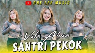 Vita Alvia - Santri Pekok (DJ Remix)