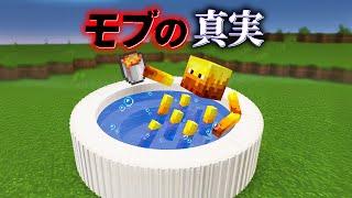 "モブの真実"の『マイクラ都市伝説』を検証した結果・・【まいくら,マインクラフト,解説,都市伝説】
