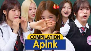 [Knowing Bros] what's the secret to longevity after 13 years? Apink Compilation