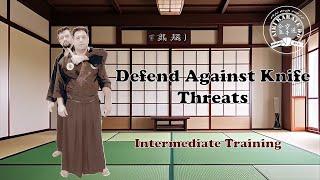 Self Defense Techniques, Aikido, Defending Technique Against Knife Threats, Intermediate Training.