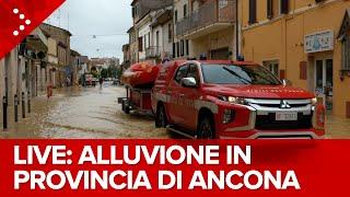 LIVE Alluvione in corso a ovest di Ancona: diffusi allagamenti a Castelferretti: diretta video