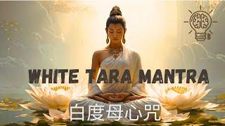 White Tara Mantra | 白度母心咒 | Body and Mind Healing | Long life | 身心疗愈 | 长寿 健康 | Meditation | 冥想