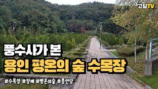 "용인 평온의 숲, 풍수지리로 분석한 명당의 비밀" #풍수 #풍수지리