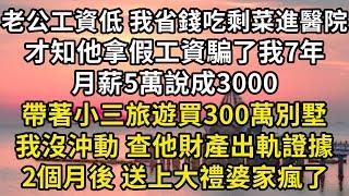 我為了省錢 頓頓剩菜吃進醫院，才知老公拿假工資騙了我7年，月薪5萬說成2000，帶著小三旅遊買300萬別墅。我沒沖動 查他財產出軌證據，2個月後送上大禮婆家瘋了