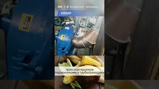 Оборудование для помола кукурузы 30 тонн в сутки | Компактный кукурузный мельничный комплекс