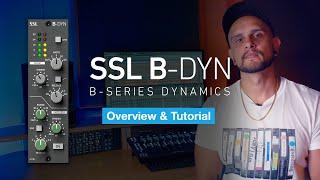 Solid State Logic B-DYN 500 Series Module - Overview and Tutorial