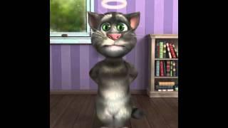 Talking Tom 최샘생축