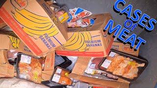 THIS IS INSANE Dumpster Diving For Free Food