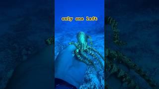 It Was Very Deep When I Found It!  #funny