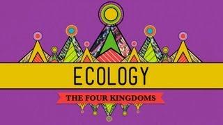 Ecology - Rules for Living on Earth: Crash Course Biology #40