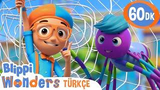 Blippi Örümceklerin Yeteneklerini Öğreniyor! | Blippi Türkçe - Çocuklar için Eğitici Videolar