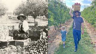 100 years ago they grew apples differently