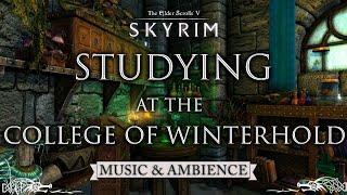 Studying at the College of Winterhold | Relaxing Skyrim Music & Ambience for Studying | 3 Hours