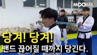 [도복소리] 오늘은 밴드운동만 한다.. 근육 터질 준비해! [TAEKWONDO POOSAE TRAINING]