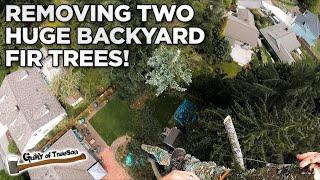 Weekend Warriors! Removing Two Large Backyard Fir Trees!