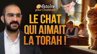 LE CHAT QUI AIMAIT LA TORAH !  Quelle Histoire Puissante pour Chabbat (Binyamin Benhamou)