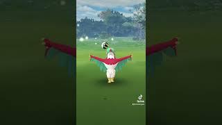 Caught Mexico’s new regional in Pokémon GO: Hawlucha #pokemon #pokemongo #regional #hawlucha