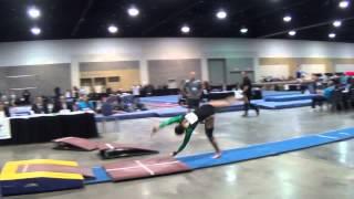 Mary Elle Arduino - Vault; Regionals April 17, 2015