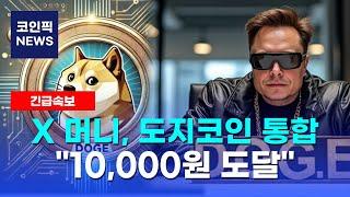 [도지코인+시바이누] 일론 머스크의 X 머니, 도지코인 통합! 지금 안사면 2025년 말 10,000원 도달할때 후회한다!