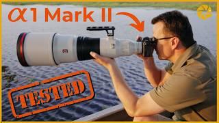 Sony a1 Mark 2 - Reviewed on Safari in Botswana!