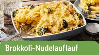 Brokkoli Nudelauflauf | REWE Deine Küche