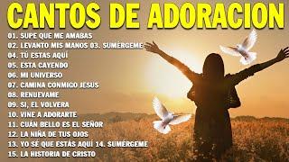 PODEROSAS CANCIONES CRISTIANAS PARA LIBERAR TU MENTE Y EL CORAZÓN ️️  SUPE QUE ME AMABAS 