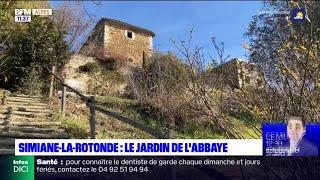 Simiane la Rotonde : le jardin de l'abbaye de Valsaintes se réveille