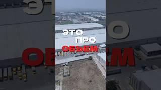 #товарныйбизнес #вэд #иран #бизнес #импорт #маркетплейсы