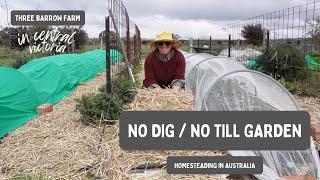 No Dig Gardening - How I Maintain my Garden: Homesteading in Australia, Zone 9B