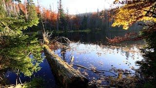 (Doku in HD) Die letzten Paradiese - Mecklenburg-Vorpommerns Nationalparks