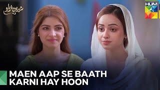 Samsha Or Shereen Ki Mulakat | Shirin Farhad Episode 12 - Hum Tv