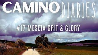 Meseta Grit & Glory: Camino Diaries #17