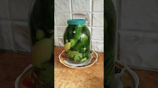 МАЛОСОЛЬНЫЕ огурчики на ГАЗИРОВАННОЙ воде