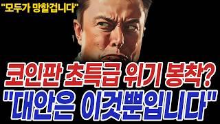 비트코인 초특급 위기 봉착?! 코인시장 "대안은 이것뿐입니다"