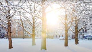 Linköping University, Sweden - Seasons in Sweden