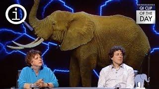 QI | Edison's Elephant Movie