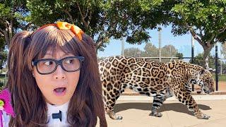 Big Wild Cats Adventure Stories For Kids | Soso Turns Her Animal Toys To Real Life!