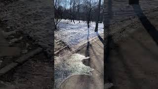 Місце сили