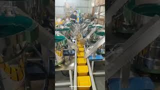 Automatic screws bag packaging machine with weight checker system