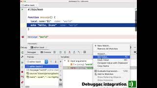 Debugging Bash Scripts with BashSupport Pro and a JetBrains IDE