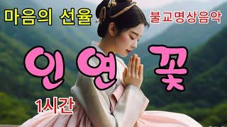 우리의 모든 인연은 꽃이었다 - 업장의 길, 자비로 건너는 삶의 여정 -1시간-#불교음악 #찬불가 #음성공양 #부처님 #행복 #인연 #위로 #치유 #명상 #감동 #힐링