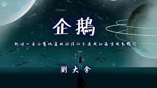 劉大拿 - 企鵝「就像一隻企鵝跳進北冰洋 你不是我的南方我卻獨闖」【動態歌詞/PinyinLyrics】