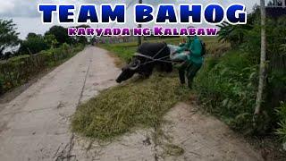 Team Bahog karyada ng Kalabaw