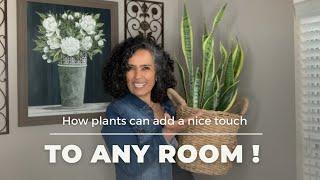 How plants can add a nice touch to any room | Maritza Ortega