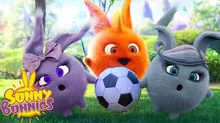 SUNNY BUNNIES - Magic and Football | Season 5 | Cartoons for Children