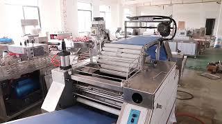 Continuous Dough Knealing Dough Pressing Machine Low Price Factory Supply 全自动压面机