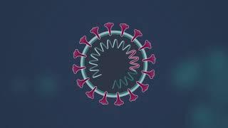 How do Messenger RNA vaccines work?