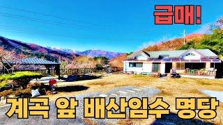 147) 4500만원 인하! 평생 살려고 지은 손 볼곳 없는 시골집 배산임수 전원주택 #시골집 #촌집 #전원주택 #세컨하우스 #귀농귀촌 #5도2촌 #자연인 #등산 #급매 #계곡