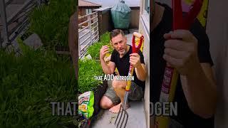 A Non-Toxic Dad Take: Urban Gardening 101 🪴 #shorts #nontoxicliving